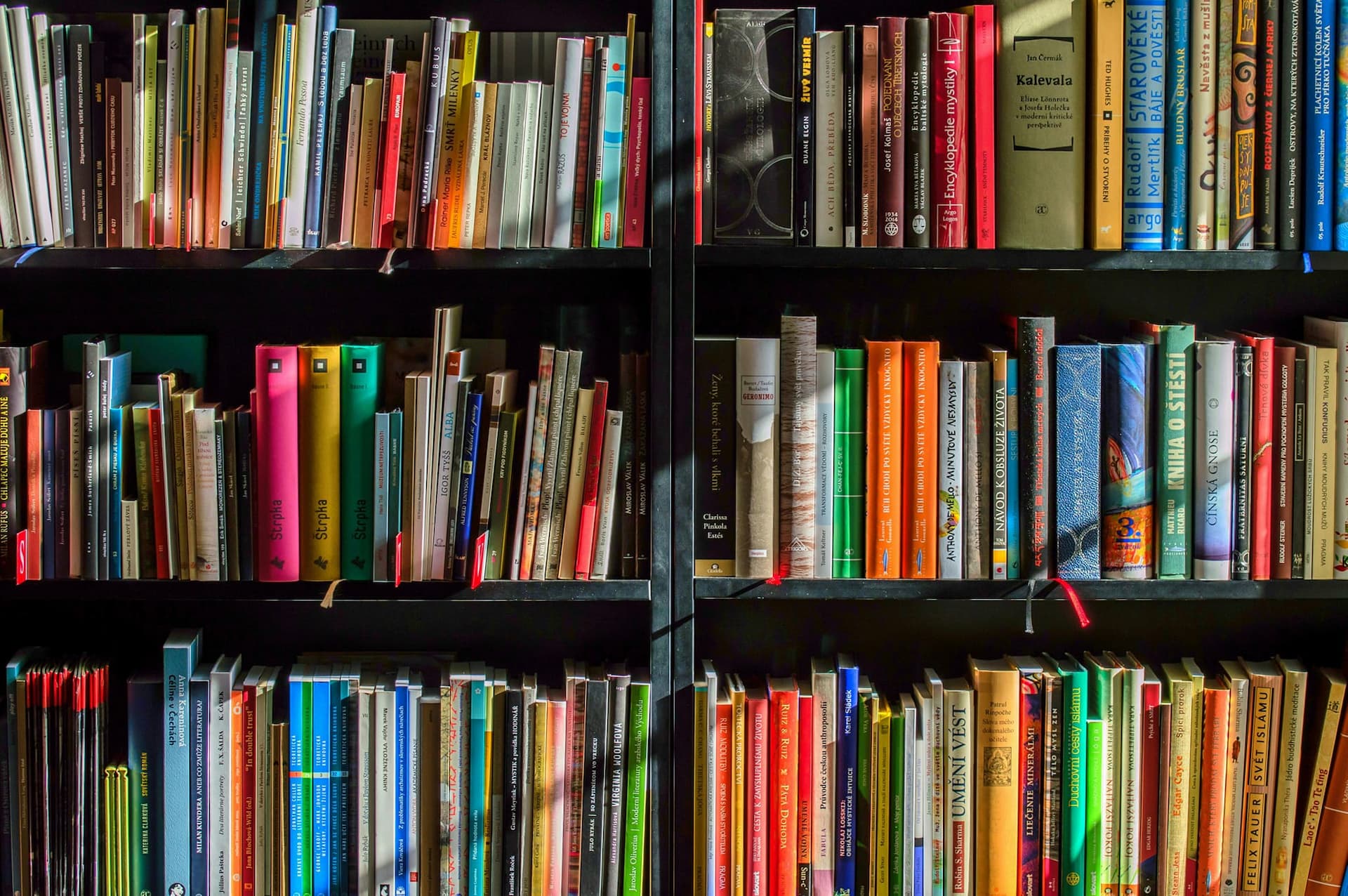 Comprehensive Curriculum